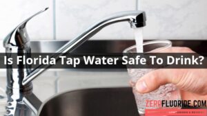 Is Florida Tap Water Safe To Drink? – Get The Facts!