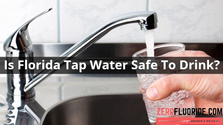 Is Florida Tap Water Safe To Drink