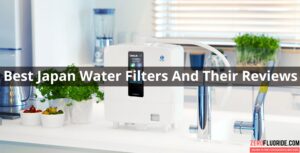 10 Best Japan Water Filters And Their Reviews For 2022