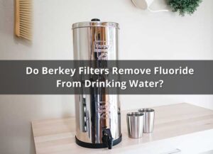 Do Berkey Filters Remove Fluoride from Drinking Water