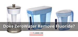 Does ZeroWater Remove Fluoride from Drinking Water